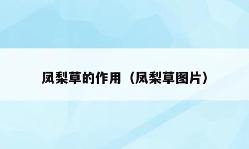 凤梨草的作用（凤梨草图片）