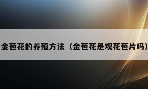 金苞花的养殖方法（金苞花是观花苞片吗）