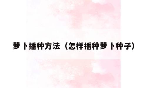 萝卜播种方法（怎样播种萝卜种子）