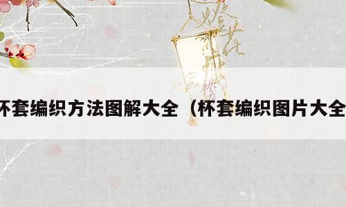 杯套编织方法图解大全（杯套编织图片大全）