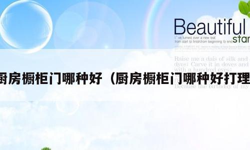 厨房橱柜门哪种好（厨房橱柜门哪种好打理）