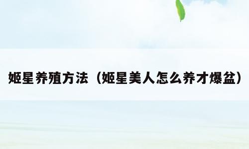 姬星养殖方法（姬星美人怎么养才爆盆）