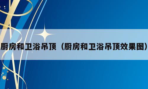 厨房和卫浴吊顶（厨房和卫浴吊顶效果图）