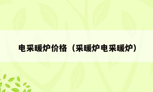 电采暖炉价格（采暖炉电采暖炉）