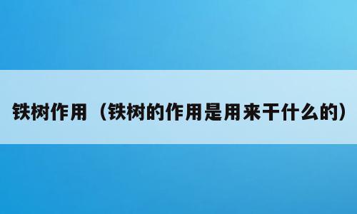铁树作用（铁树的作用是用来干什么的）