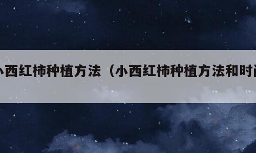 小西红柿种植方法（小西红柿种植方法和时间）