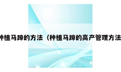 种植马蹄的方法（种植马蹄的高产管理方法）