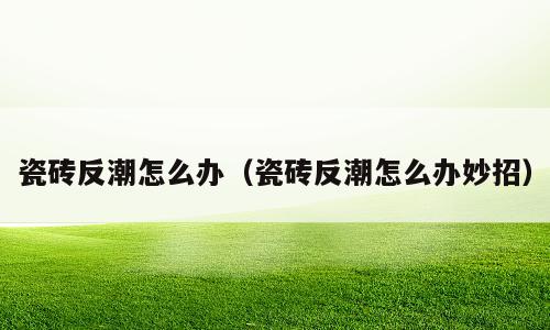 瓷砖反潮怎么办（瓷砖反潮怎么办妙招）