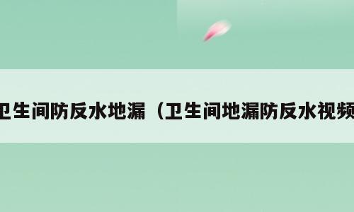 卫生间防反水地漏（卫生间地漏防反水视频）
