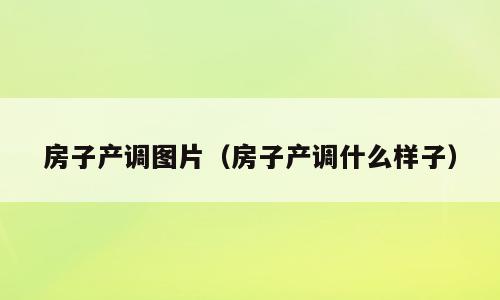 房子产调图片（房子产调什么样子）