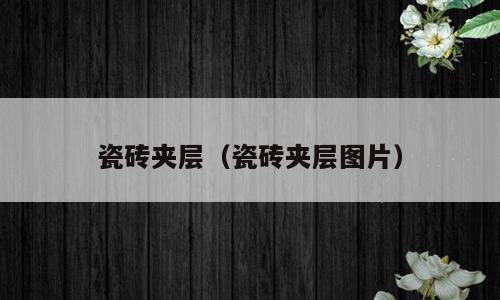 瓷砖夹层（瓷砖夹层图片）