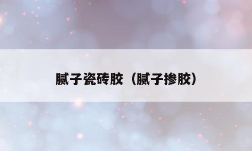腻子瓷砖胶（腻子掺胶）