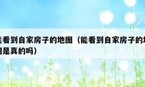 能看到自家房子的地图（能看到自家房子的地图是真的吗）