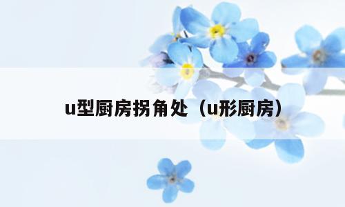 u型厨房拐角处（u形厨房）
