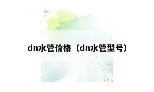 dn水管价格（dn水管型号）