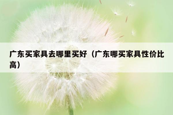 广东买家具去哪里买好（广东哪买家具性价比高）