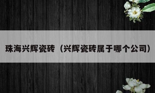 珠海兴辉瓷砖（兴辉瓷砖属于哪个公司）