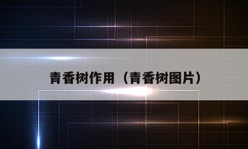 青香树作用（青香树图片）