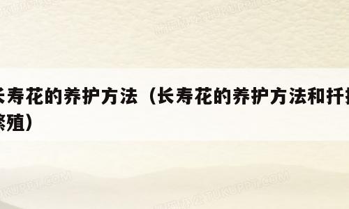 长寿花的养护方法（长寿花的养护方法和扦插繁殖）