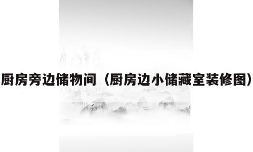 厨房旁边储物间（厨房边小储藏室装修图）
