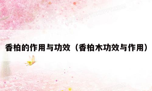 香柏的作用与功效（香柏木功效与作用）