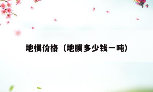 地模价格（地膜多少钱一吨）