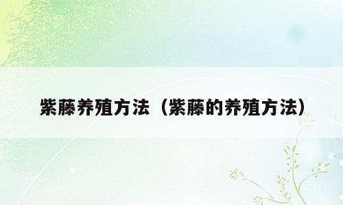 紫藤养殖方法（紫藤的养殖方法）