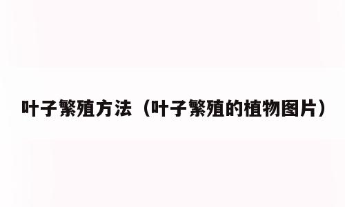 叶子繁殖方法（叶子繁殖的植物图片）