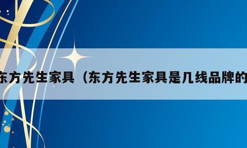 东方先生家具（东方先生家具是几线品牌的）