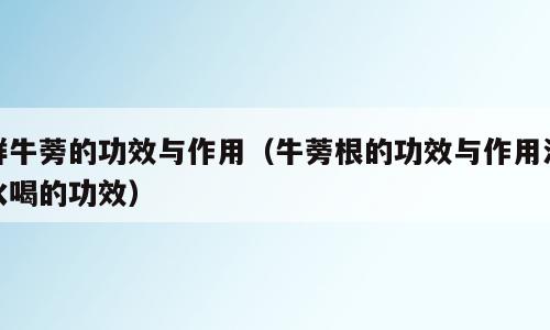 鲜牛蒡的功效与作用（牛蒡根的功效与作用泡水喝的功效）