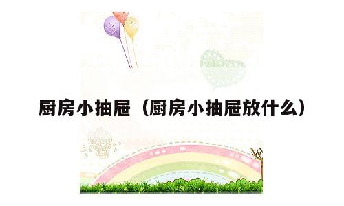 厨房小抽屉（厨房小抽屉放什么）