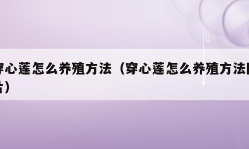 穿心莲怎么养殖方法（穿心莲怎么养殖方法图片）