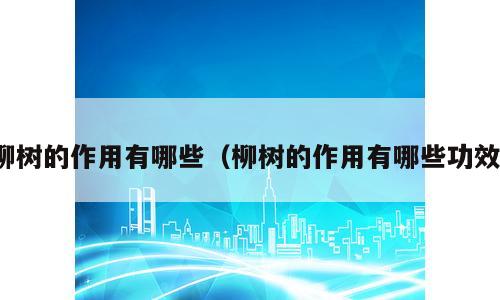 柳树的作用有哪些（柳树的作用有哪些功效）