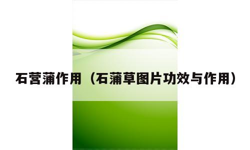 石营蒲作用（石蒲草图片功效与作用）