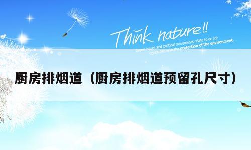 厨房排烟道（厨房排烟道预留孔尺寸）