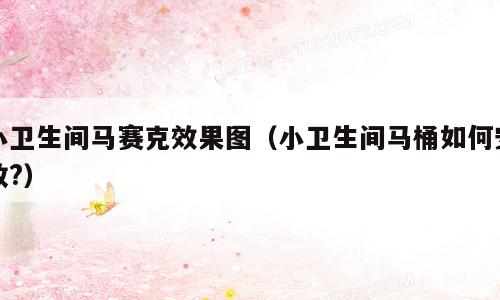 小卫生间马赛克效果图（小卫生间马桶如何安放?）