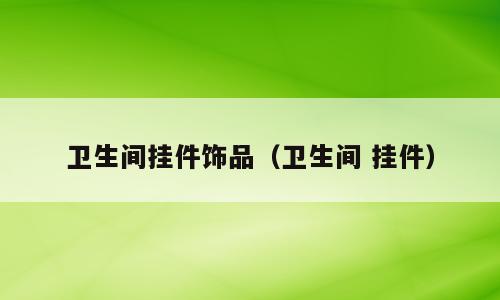 卫生间挂件饰品（卫生间 挂件）