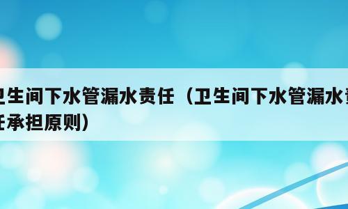 卫生间下水管漏水责任（卫生间下水管漏水责任承担原则）