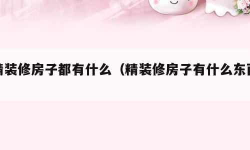 精装修房子都有什么（精装修房子有什么东西）