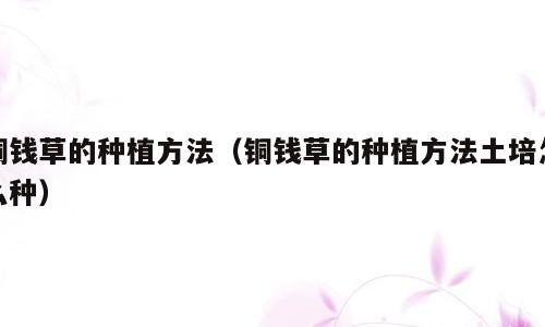 铜钱草的种植方法（铜钱草的种植方法土培怎么种）