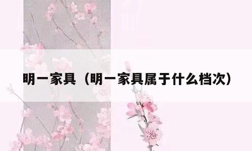 明一家具（明一家具属于什么档次）