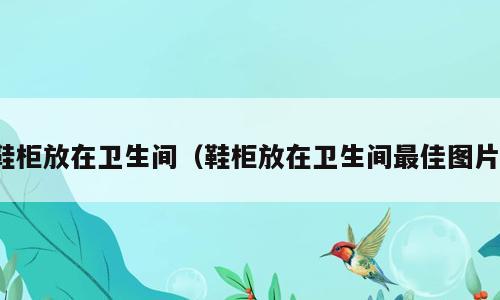 鞋柜放在卫生间（鞋柜放在卫生间最佳图片）