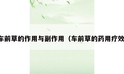 车前草的作用与副作用（车前草的药用疗效）