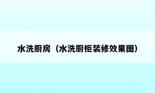 水洗厨房（水洗厨柜装修效果图）