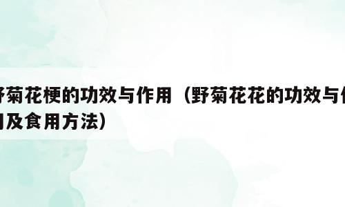 野菊花梗的功效与作用（野菊花花的功效与作用及食用方法）