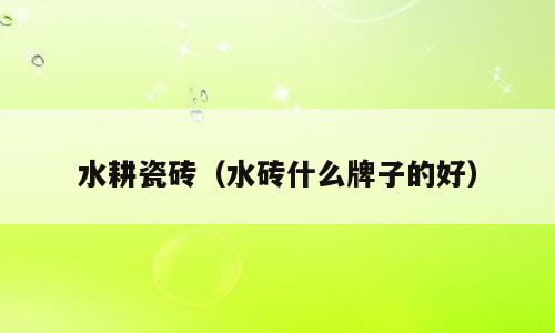水耕瓷砖（水砖什么牌子的好）