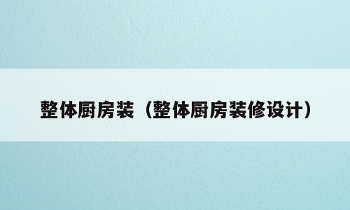 整体厨房装（整体厨房装修设计）