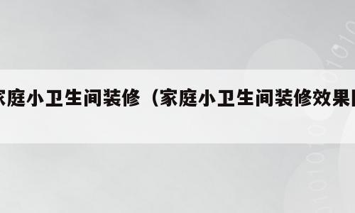 家庭小卫生间装修（家庭小卫生间装修效果图）