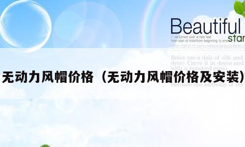 无动力风帽价格（无动力风帽价格及安装）