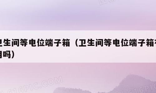 卫生间等电位端子箱（卫生间等电位端子箱有用吗）